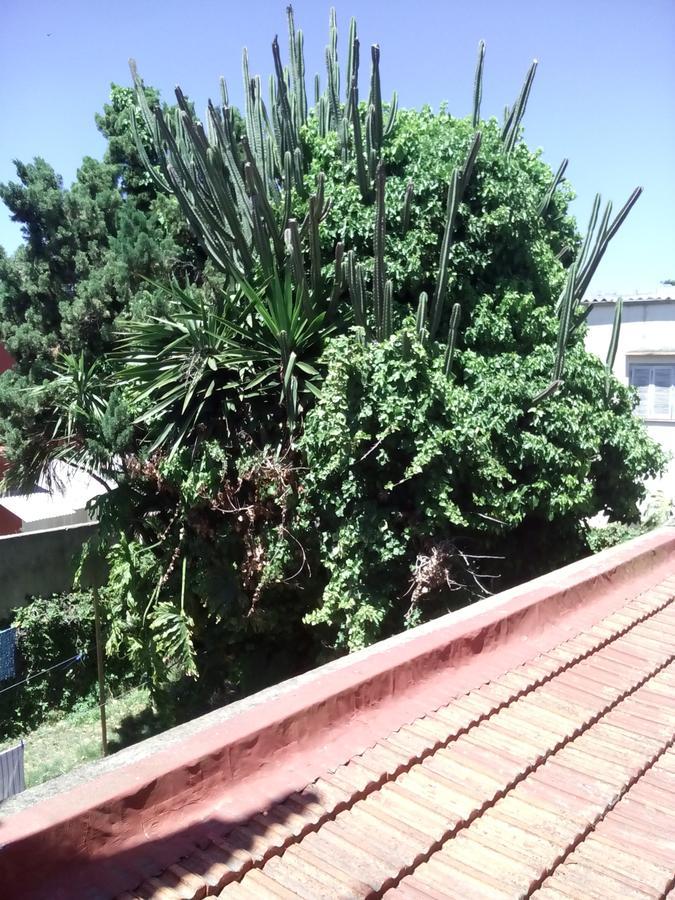Hosteria Almirante Brown مار ديل بلاتا المظهر الخارجي الصورة